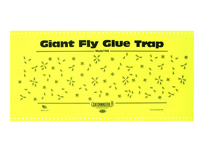 Giant-Fly-Glue-Trap_edited.png