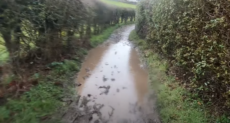 waterlogged trail