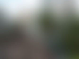 Personne marchant sur un sentier en forêt illustrant la création de nouvelles habitudes, la progression et le retour vers un mode de vie plus sain.