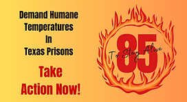 Take Action newest Every Action button Dec 2023.png