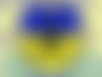 Wir haben einen neuen Ausschuss