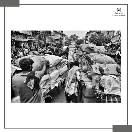 O Olhar da Índia: Revista da Sala de Fotografia nº 11