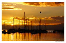 Ushuaia - Calintia Argenta Ceron 2