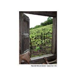 Maria_João_Palma_de_Azevedo_-_Caxias_do_Sul_-_2011