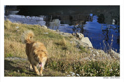 Ushuaia - Leticia Pereira2 - 30-45