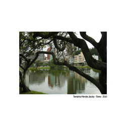 Teresinha Mendes Jacoby - Torres - 2010