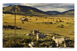 El Calafate - Luis Raimundo Tomazzoni3 - 30-45