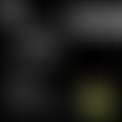 Curso de Fotografia - Junho