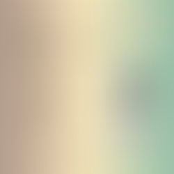 Festival Arte Foto 2021 - Mozart Mesquita