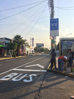 Balizamiento - Pro Bici