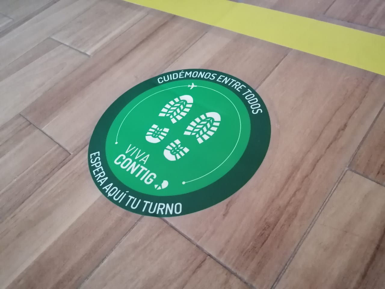 Rotulación Vehicular Vinil en vidrios y cristales Monterrey Nuevo Leon