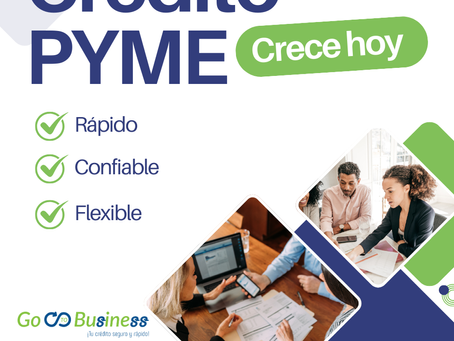 Blindaje Operativo: Por Qué tu Empresa Debe Contar con una Línea de Crédito Activa Antes de Necesitarla