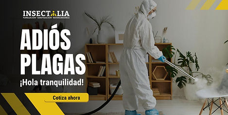 WhatsApp Image 2026-01-30 at 8.42.53 AM (1).jpeg