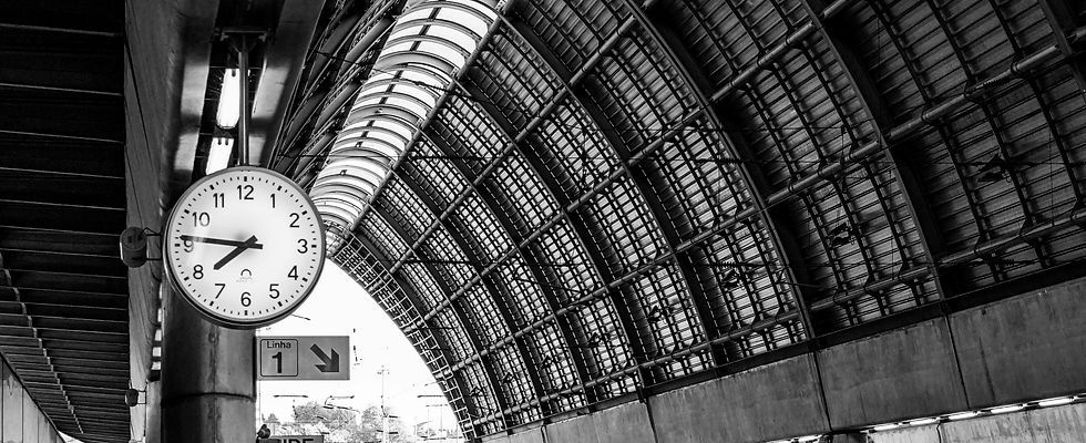 pexels-alexandre-moreira-2527876-2696662