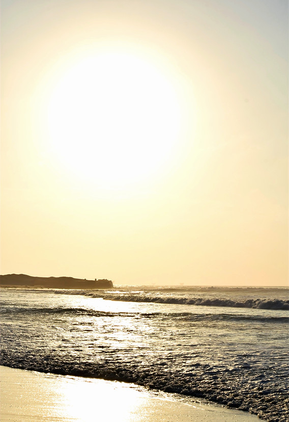 DSC_0519_edited.jpg