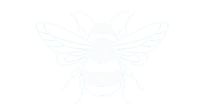 white bee.png