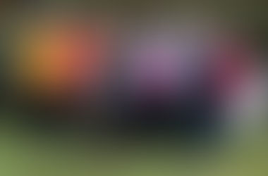 Ausgezeichnete Sportabzeichenabsolventen