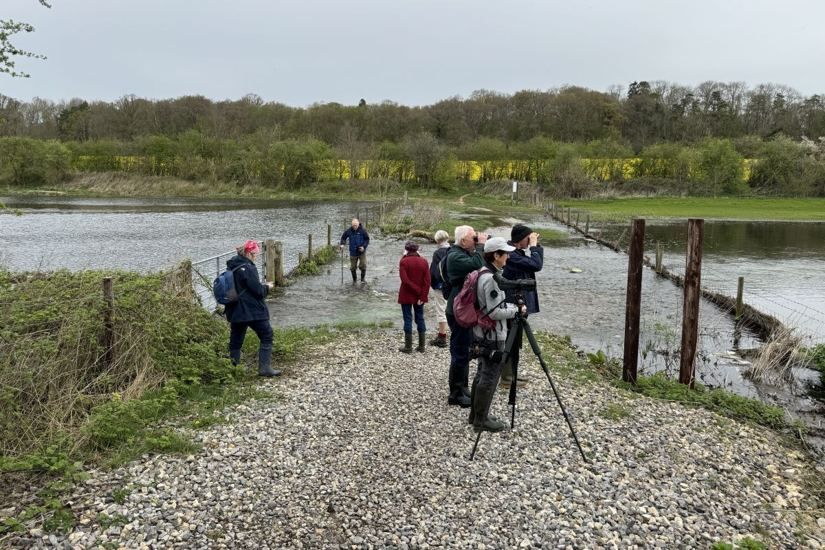 (c) Newburybirders.co.uk