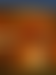 Johnnie Walker inaugura estande no gramado do Rock in Rio Brasil 2024