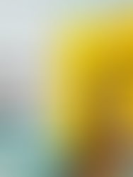 99 é o app de mobilidade oficial do show da Lady Gaga e oferece cupons, dicas e rotas seguras até Copacabana