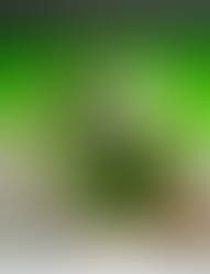 Braza retorna ao Circo Voador com baile que celebra dez anos de trajetória e novas sonoridades