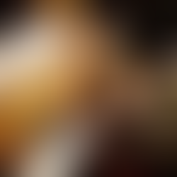 Vans celebra 60 anos com imersão cultural na LAPI, em São Paulo