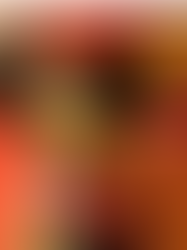 Do brega ao funk: WOW Rio 2025 celebra a diversidade feminina com shows históricos na Maré