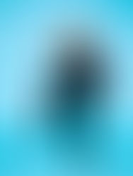 Alceu Valença traz seus sucessos no novo show "ALCEU DISPOR"