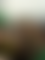 Tomorrowland Brasil 2025 revela timetable completo com mais de 150 artistas