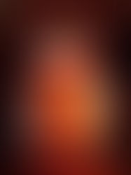 Saiu! KNOTFEST Brasil 2024 anuncia atrações para a segunda edição