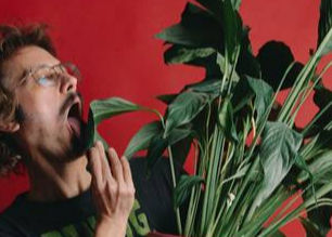 Daniel Furlan leva seu "Tropical Nada" ao Sesc Avenida Paulista 