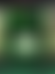 Heineken® No Line-Up Festival desafia padrões e estreia evento sem artistas revelados — e promete uma experiência inesquecível