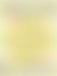 Primavera Sound São Paulo 2026 confirma terceira edição no Autódromo de Interlagos com realização da Bonus Track