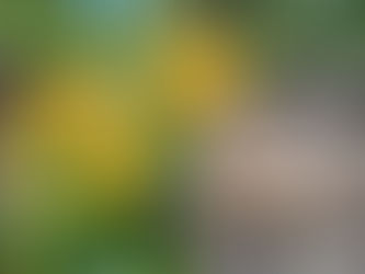 When Pain Meets Purpose: Finding Hope After Betrayal