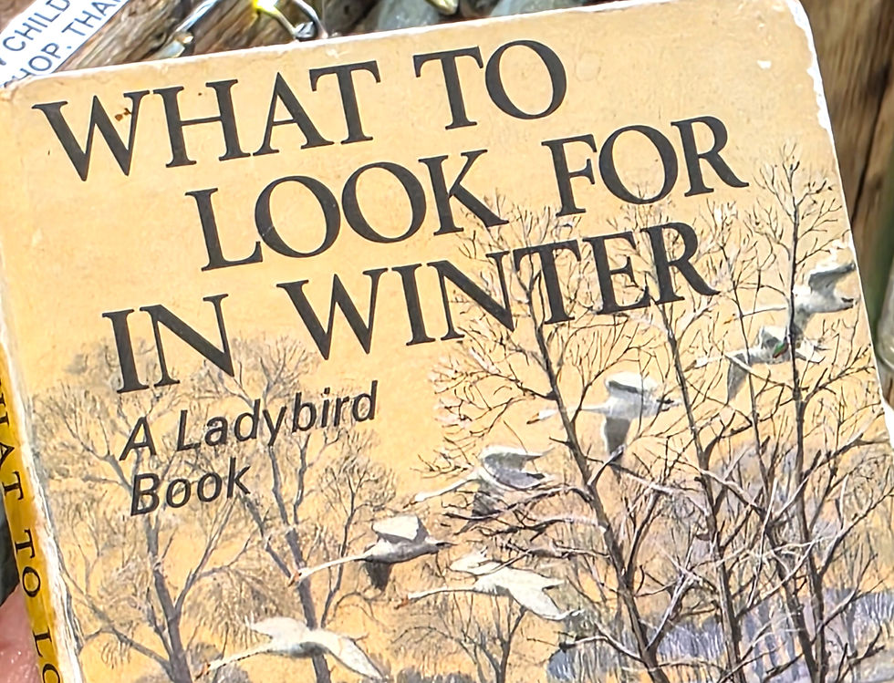 20251203_132626_edited