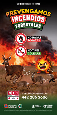 MIRAR-LEJOS_PEEQ_INCENDIOS-FORESTALES_ANIMALES_200X400.jpg