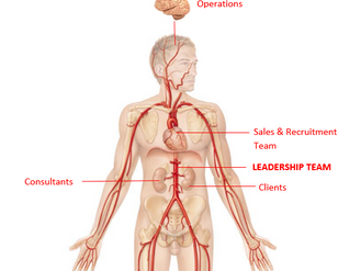 GForce Business Anatomy: Part 2 - The Spinal Cord