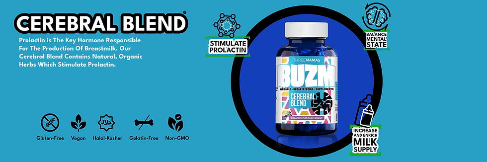 Cerebral Blend Main.png