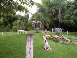 CALDAS NOVAS_LAGOA QUENTE