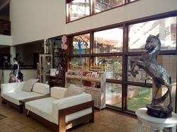 V.Mantiqueira_Lobby_recepção2_V