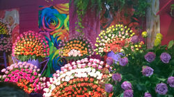 EXPOFLORA_ARRANJOS FLORAIS