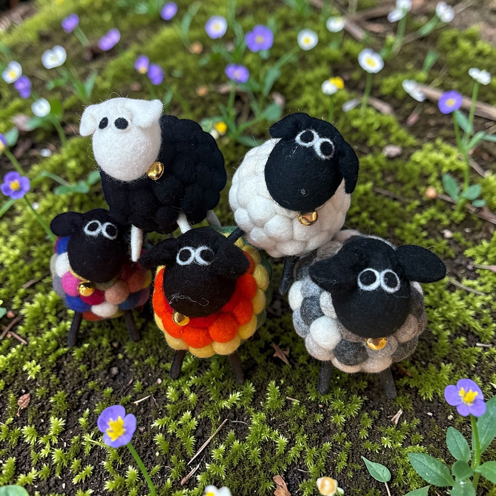 A flock of lovely little sheep.