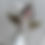 Thumbnail: Detailed White Painted Metal and Wood Angel Ornament