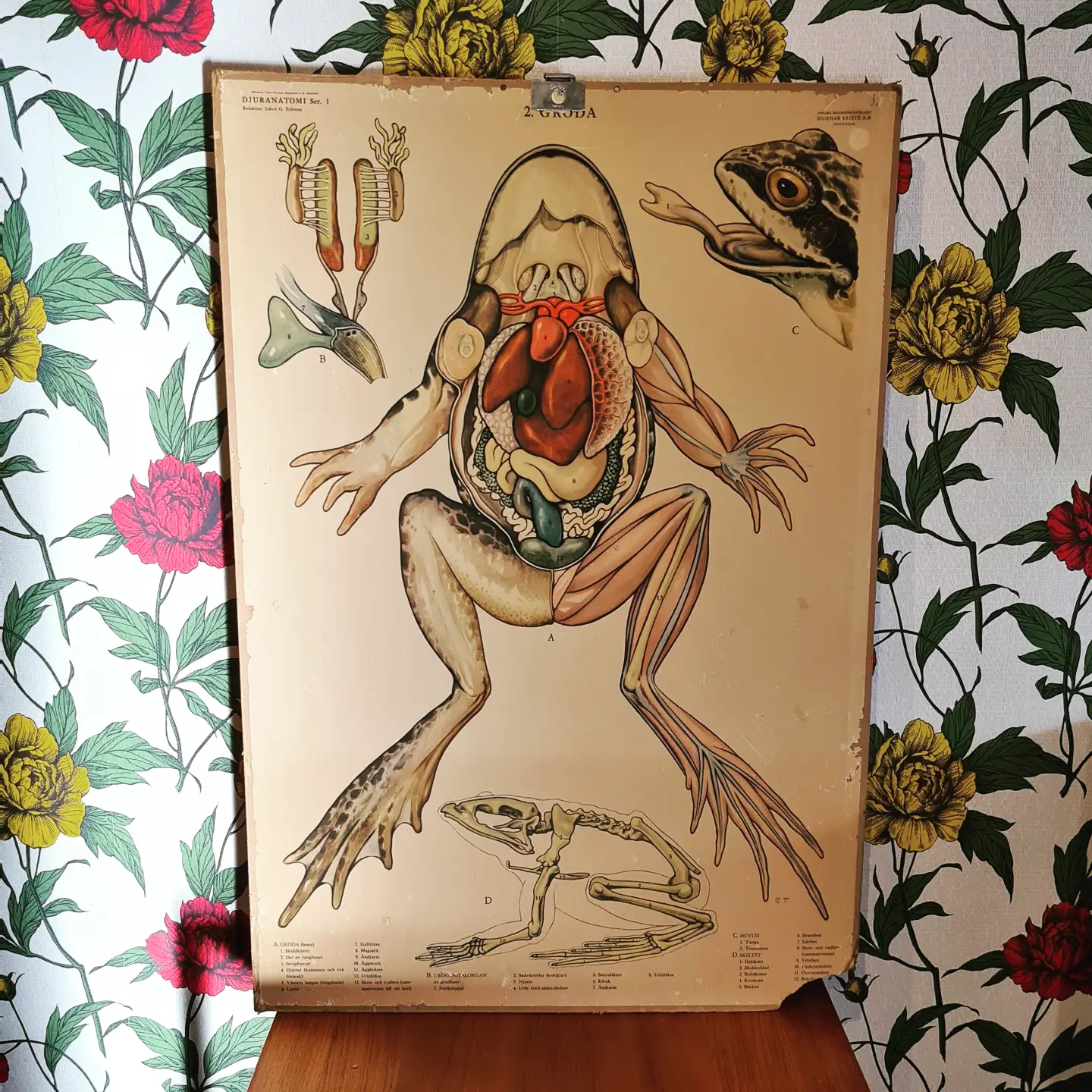 Skolplansch från 1900-talet