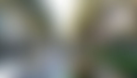 Düsseldorf et plus encore