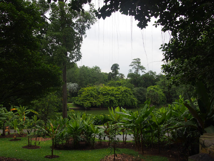 Botanic Gardens