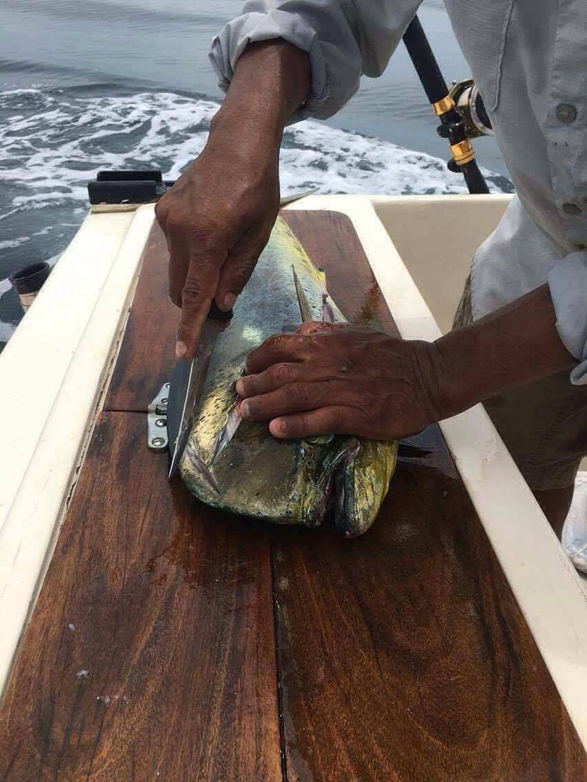 Petite escapade au bord de la mer ! Après 4h de pêche nous avons savourés 5 belles dorades !