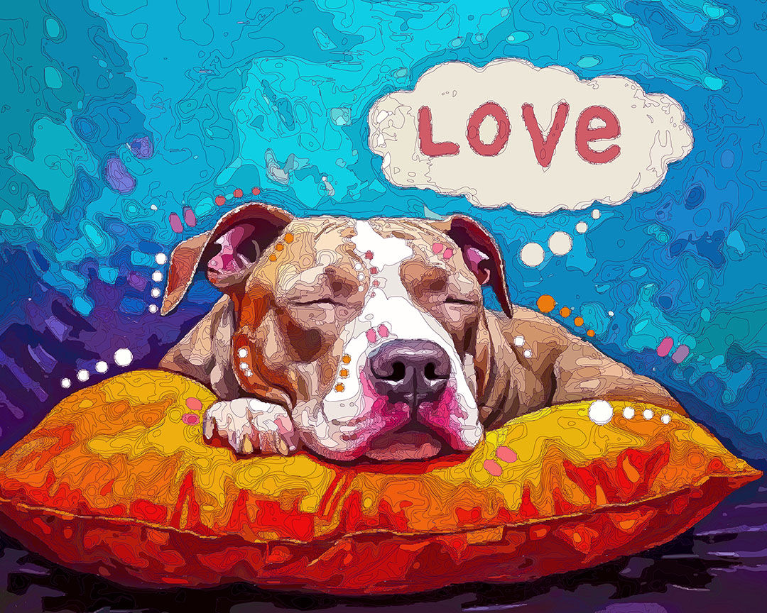 The Pillow Dreamer Mini Print (Ltd. Edition)