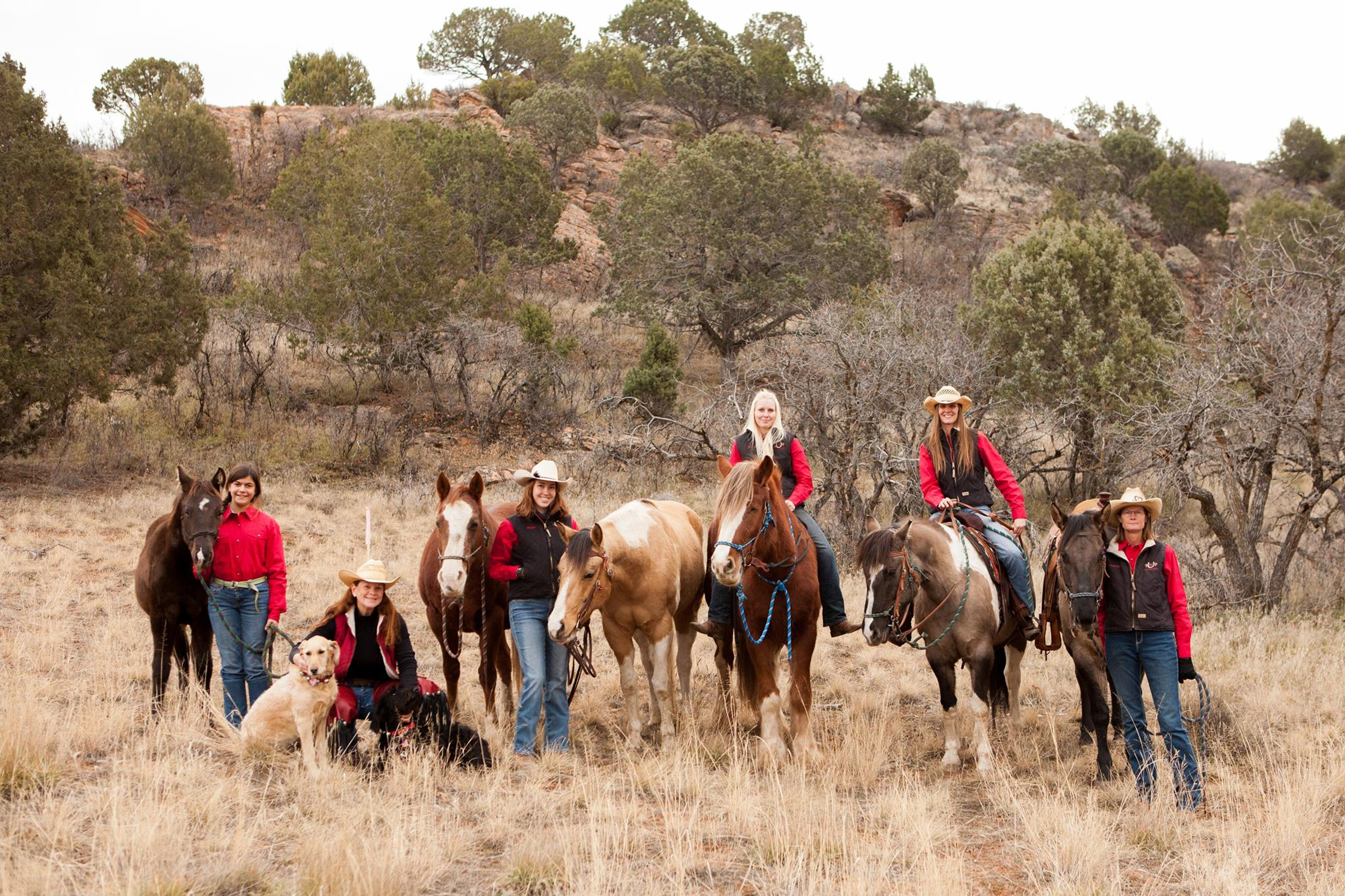 KB HORSES at Red Ledges - Photo 1