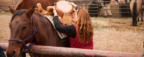horsemanship-class.jpg
